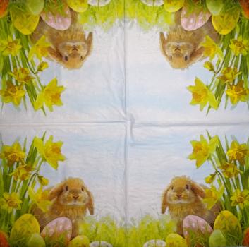 105 Rabbits:  natürlich - 3-ply